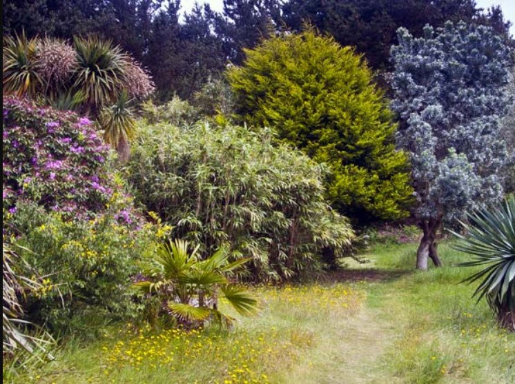 Carreg Dhu Gardens, Isles of Scilly, United Kingdom